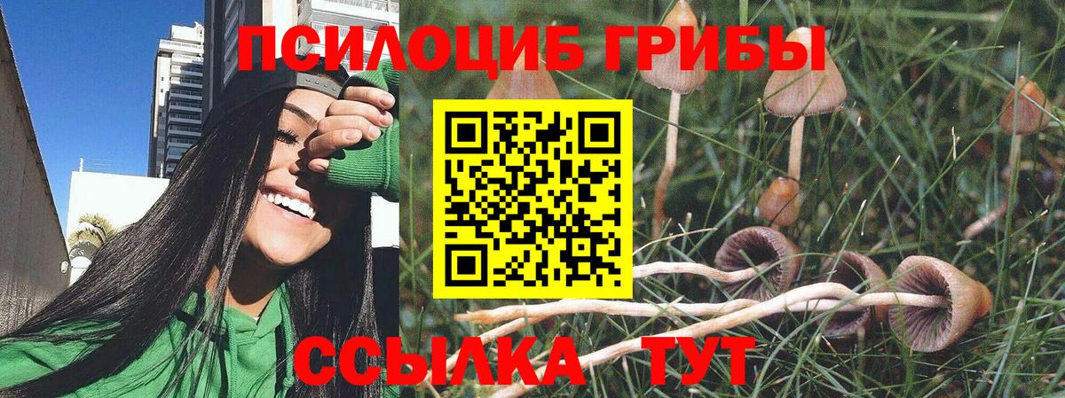 Alpha-PVP СОЛЬ   Кодеин  Марихуана  Экстази  ГАШИШ  Новоалтайск  Вход с VPN  ГЕРОИН  Гашиш  Мефедрон кристаллы 
