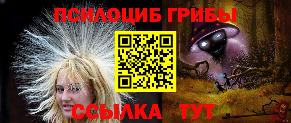 Псилоцибиновые грибы прущие грибы Новоалтайск