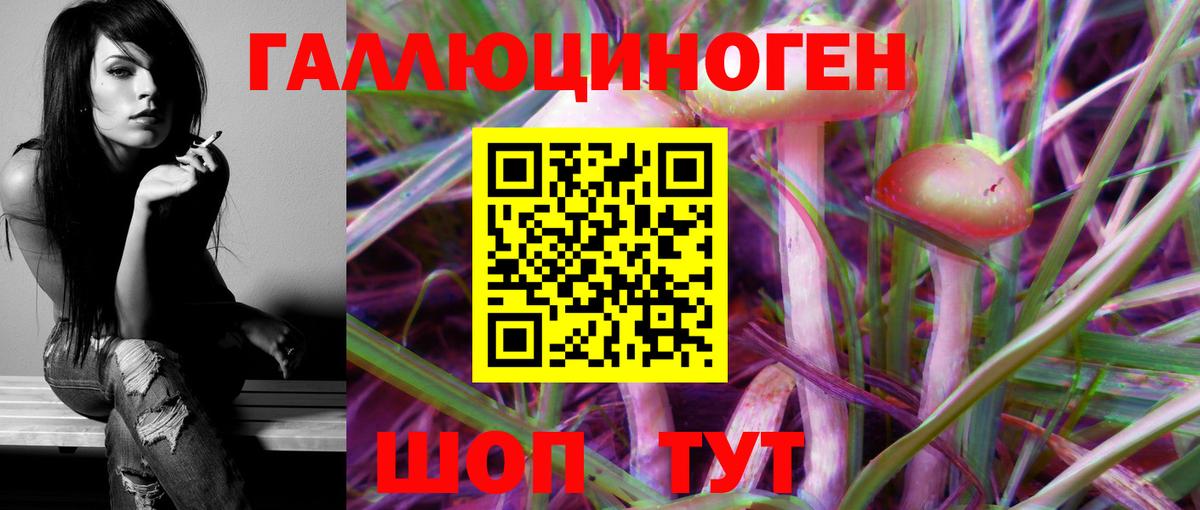 Галлюциногенные грибы Cubensis  Вход с VPN  Новоалтайск 